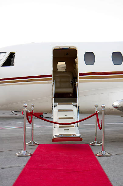 red carpet for vip in south africa